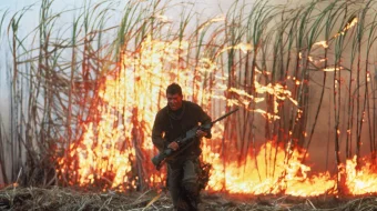 Snayper 1 / Sniper 1 Uzbek tilida 1992 O'zbekcha tarjima film Full HD skachat skrinshot 4