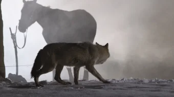 Chol Qozoq Filmi Uzbek tilida 2012 O'zbekcha tarjima kino HD skrinshot 2