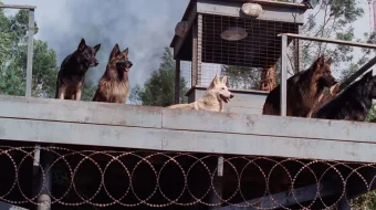 Quturgan to'da ujas kino Uzbek tilida 2006 O'zbekcha tarjima film Full HD skachat skrinshot 1