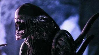 Maxluq Yirtqichga Qarshi 1 / Чужой против Хищника 1 Ujas kino Uzbek tilida 2004 O'zbekcha tarjima kino HD skrinshot 2