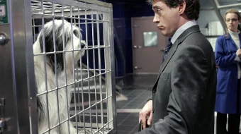 Paxmoq Dada / Paxmoq Ota O'zbek tilida 2006 Uzbek Tilida O'zbekcha tarjima Kino HD skrinshot 1