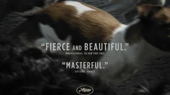 Do'stim Hagen / Oq xudo 2014 O'zbek tarjima kino HD skrinshot 2