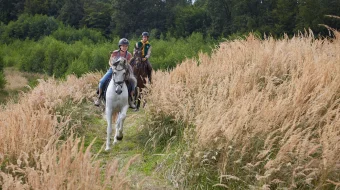 Spirit: Kumush Yulduz Uzbek tilida 2022 O'zbekcha tarjima kino HD skrinshot 4