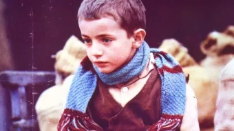 Kovush uchun kesilgan daraxt Uzbek tilida 1978 O'zbekcha tarjima film Full HD skachat skrinshot 1