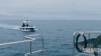 Akulalar orasida / O'lim changalida 2026 Uzbek tilida O'zbekcha tarjima kino Full HD tas-ix skachat skrinshot 3