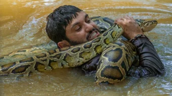 Jungli Sarguzashtlari Uzbek tilida 2022 O'zbekcha tarjima kino HD skrinshot 3