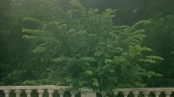 Xo'rlanganlar va haqoratlanganlar 1990 Uzbek tilida O'zbekcha tarjima kino Full HD tas-ix skachat skrinshot 1