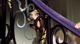 Qanday qilib millionni o'girlash mumkin / Katta boylik izidan Uzbek tilida 1966 kino HD skrinshot 1