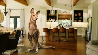 Dumli Dugona Uzbek tilida 2021 O'zbekcha tarjima film Full HD skachat skrinshot 1