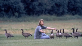 Uyga Parvoz Uzbek tilida 1996 O'zbekcha tarjima film Full HD skachat skrinshot 3