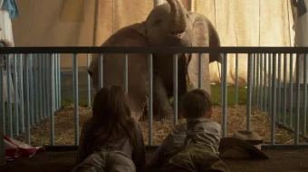 Dambo Uzbek tarjima 2019 HD format O'zbek tilida tas-ix skachat skrinshot 1