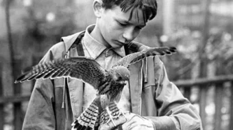 Do'stim Qirg'iy Uzbek tilida 1969 O'zbekcha tarjima film Full HD skachat skrinshot 2