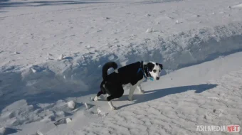 Sovuq yo'l / Xatarli yo'l / Halokatli yo'l 2024 Uzbek tilida O'zbekcha tarjima kino Full HD tas-ix skachat skrinshot 3