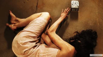 Labirintdagi qiz Uzbek tilida 2019 O'zbekcha tarjima film Full HD skachat skrinshot 1