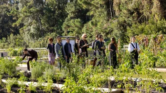 Menyu / Taomnoma Uzbek tilida 2022 O'zbekcha tarjima film Full HD skachat skrinshot 2