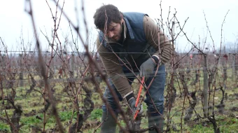Burgundiyaga qaytish Uzbek tilida 2016 O'zbekcha tarjima kino HD skrinshot 4