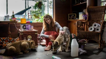 Bo'ri va sher Uzbek tilida 2021 O'zbekcha tarjima film Full HD skachat skrinshot 3