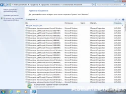 Windows 7 SP1 AIO 9in1 by g0dl1ke v.18.05.10 (x86-x64) (2018) [Rus] skrinshot 3