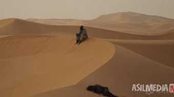 Echki hayoti Hind kinosi Uzbek tilida 2024 O'zbekcha tarjima kino HD skrinshot 3