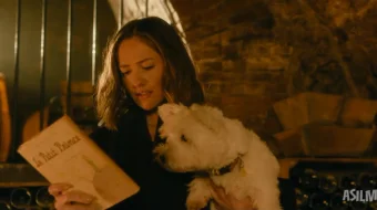 Shampan muammolari 2025 Uzbek tilida O'zbekcha tarjima kino Full HD tas-ix skachat skrinshot 4