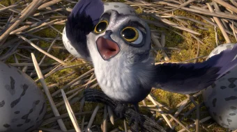 Qsuhlar Jamoasi / Qushlar qo'riqchisi / Jasur Manu Multfilm Uzbek tilida 2019 HD O'zbek tarjima tas-ix skachat skrinshot 3