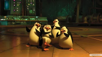 Madagaskar pingvinlari / Madakaskar pinvinlari Barcha qismlar HD Multfilm Uzbek tilida 2008 skrinshot 4