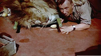 G'alati reys Uzbek tilida 1961 HD O'zbek tarjima tas-ix skachat skrinshot 2