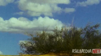 Zamonlar kuli: qaytish 1994 Uzbek tilida O'zbekcha tarjima kino Full HD tas-ix skachat skrinshot 4