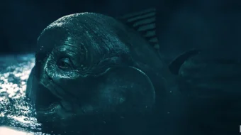 Пиноккио Kino HD 2019 Tas-ix skachat skrinshot 1