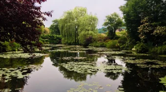 Mone nilufarlari / Klod Mone: Suv va yorug‘lik sehri 2018 Uzbek tilida O'zbekcha tarjima kino Full HD tas-ix skachat skrinshot 1