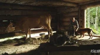 Devor Germaniya filmi Uzbek tilida O'zbekcha 2012 tarjima kino Full HD tas-ix skachat skrinshot 4