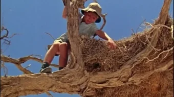 Sahroda yolg'iz / Cho'lda qolgan bolakay 1969 Uzbek tilida O'zbekcha tarjima kino Full HD tas-ix skachat skrinshot 2