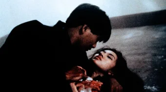 Yorqin kelajak 3: Saygondagi sevgi va o'lim Uzbek tilida 1989 O'zbekcha tarjima film Full HD skachat skrinshot 3