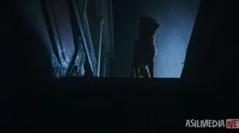 Itning nigohi bilan / Yaxshi kuchuk 2025 Uzbek tilida O'zbekcha tarjima kino Zo'r it / Yaxshi bola / Kuchukning ko'zlarida Full HD tas-ix skachat skrinshot 4