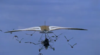 Uyga Parvoz Uzbek tilida 1996 O'zbekcha tarjima film Full HD skachat skrinshot 1