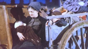 Kovush uchun kesilgan daraxt Uzbek tilida 1978 O'zbekcha tarjima film Full HD skachat skrinshot 3