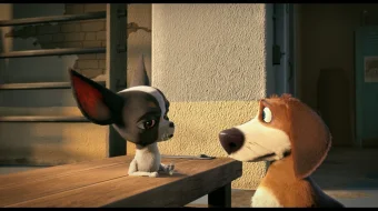 Ozzi / Ozzy / Ozziy / Ozzy Uzbek tilida multfilm 2016 O'zbek tarjima kino HD skrinshot 1