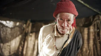 Yo'lbars uyasi / Mening yo'lbarsim uyi Uzbek tilida 2022 O'zbekcha tarjima film Full HD skachat skrinshot 3