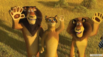 Madagaskar 2 HD Multfilm Uzbek tilida 2008 skrinshot 4