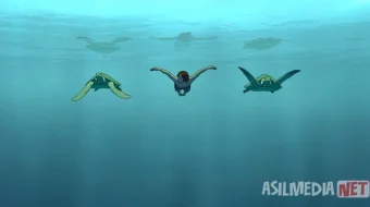 Qizil toshbaqa (multfilm, premyera) Uzbek tilida 2016 O'zbekcha tarjima kino HD skrinshot 4