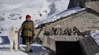 Bel va Sebastiyan 3 Uzbek tilida 2017 O'zbekcha tarjima kino HD skrinshot 3