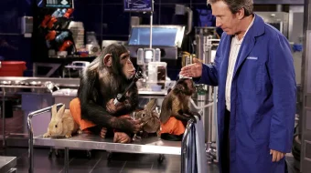 Paxmoq Dada / Paxmoq Ota O'zbek tilida 2006 Uzbek Tilida O'zbekcha tarjima Kino HD skrinshot 3