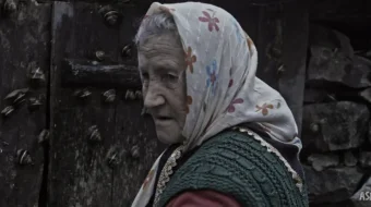 Qalandar sovug'i / Kalandarning sovuq kunlari 2015 Uzbek tilida O'zbekcha tarjima kino Full HD tas-ix skachat skrinshot 3