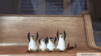 Madagaskar 1 Multfilm Uzbek tilida 2005 skrinshot 2