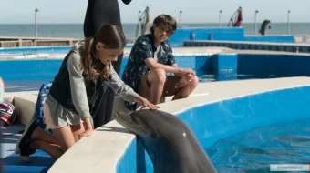 Delfin Berni Uzbek tilida 2018 O'zbek tarjima kino HD skrinshot 3