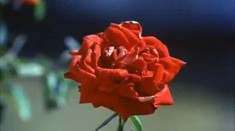 Hazil / ayyorlik / Beg'araz yolg'on Hind kinosi Uzbek tilida 1975 O'zbekcha tarjima kino HD skrinshot 3
