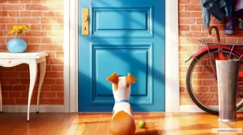 Uy hayvonlarining sirli hayoti 1 Multfilm Uzbek tilida 2016 HD O'zbek tarjima tas-ix skachat skrinshot 1