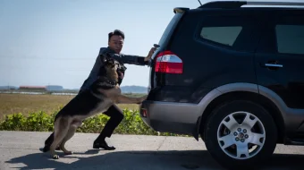 Миссия- Спасти панду 2020 Tas-ix skachat skrinshot 3