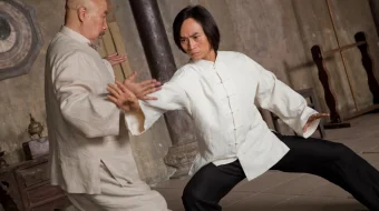 Мастер тай-цзи 2013 / Man of Tai Chi / Tas-IX skachat skrinshot 2