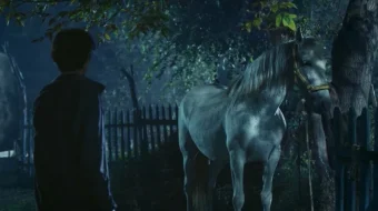 Tarlan Uzbek tilida 2021 O'zbekcha tarjima kino HD skrinshot 3